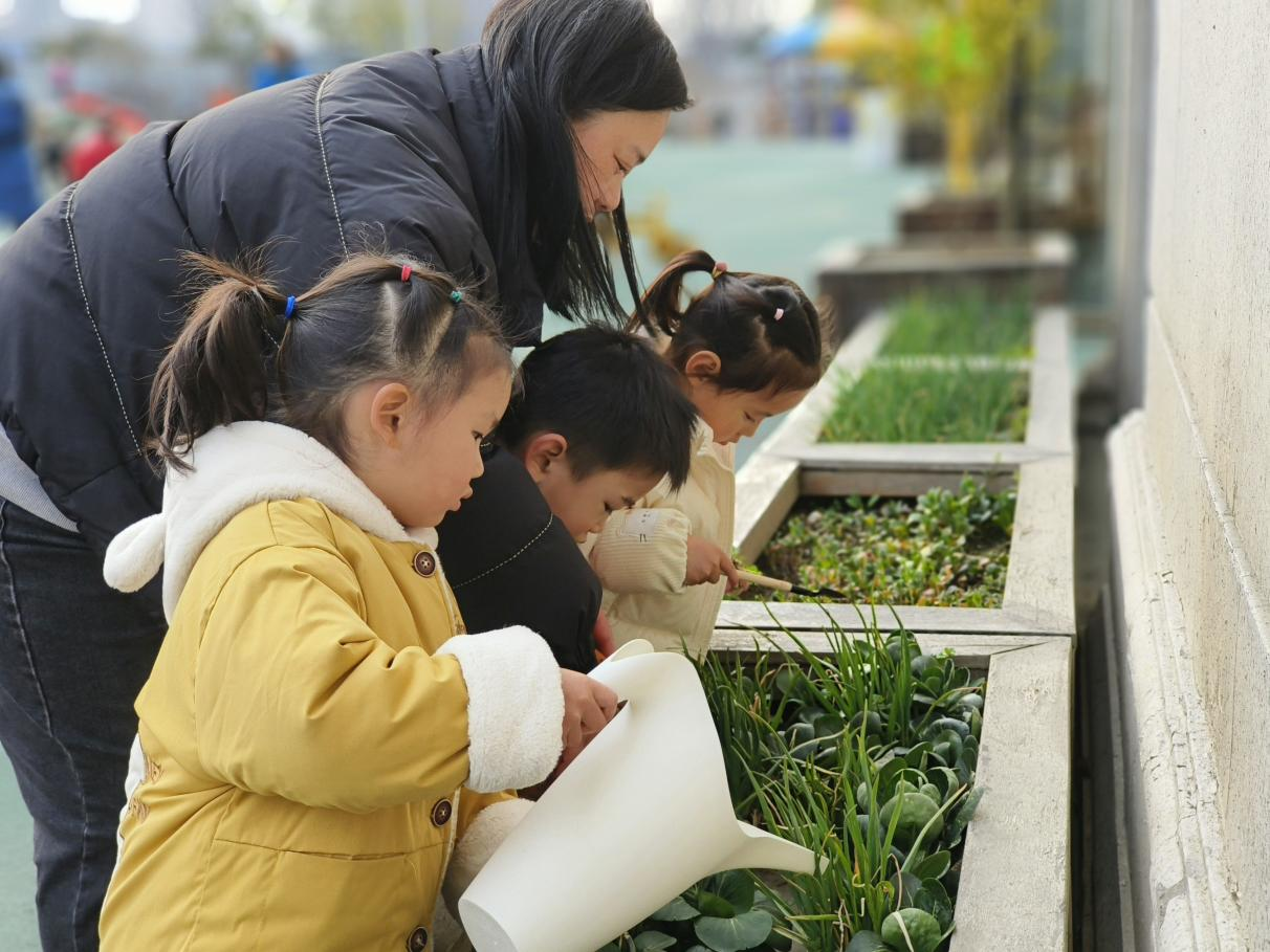 春芽幼儿园 陈荣《孕育成长》.png