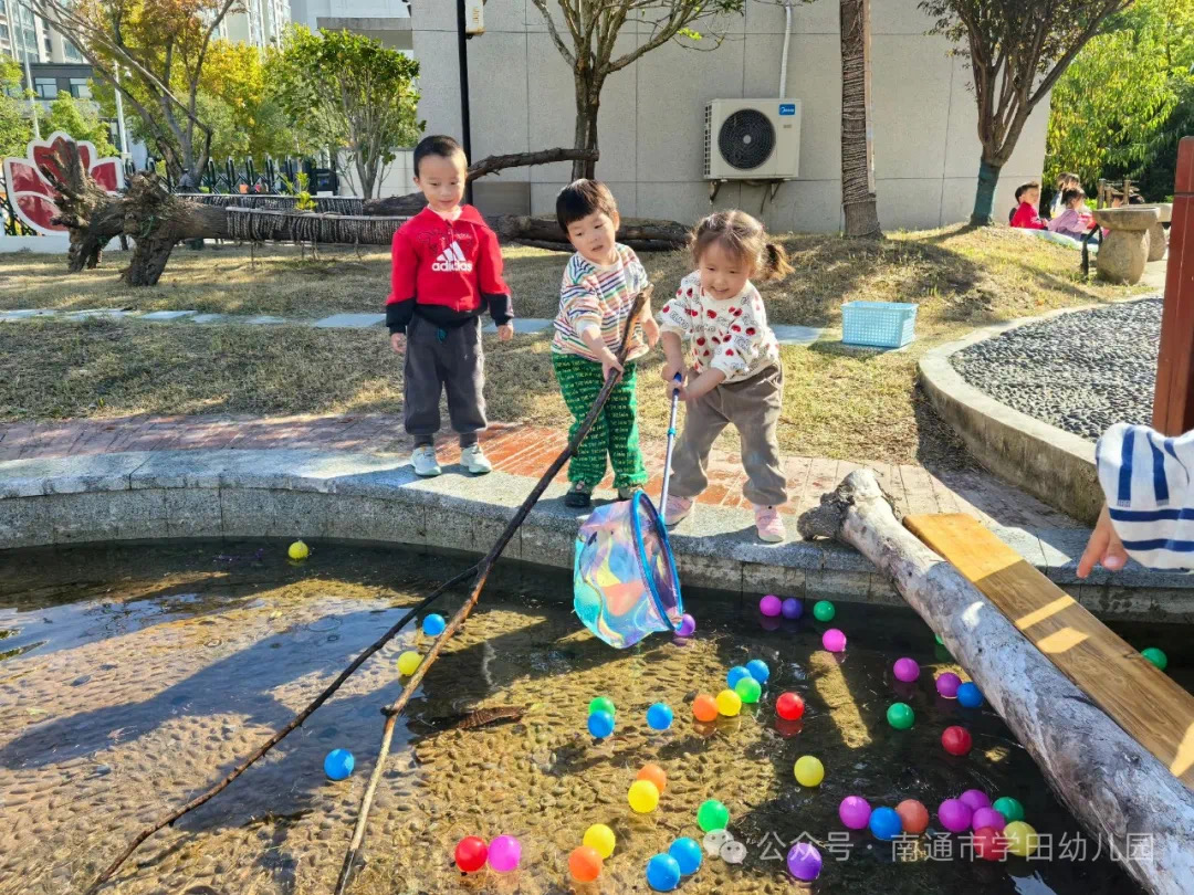 5977d709288036dedf5a0bee1aed012.jpg